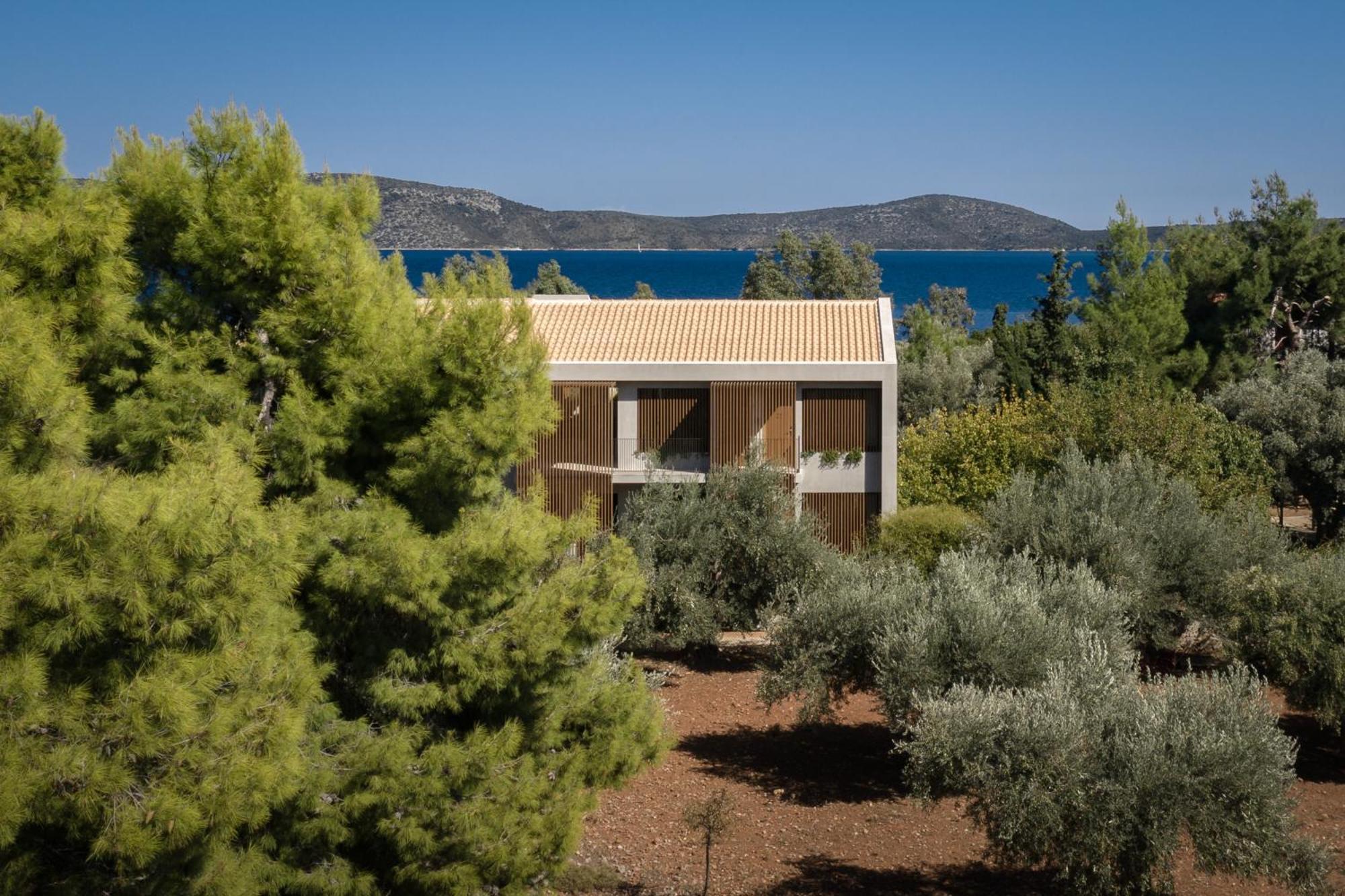 Ilya Botanic Suites Steni Vala Alonissos Exterior foto